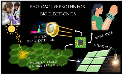 generation bio-electronic material